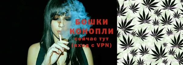 ALPHA PVP Куйбышев