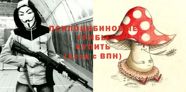 ALPHA PVP Куйбышев