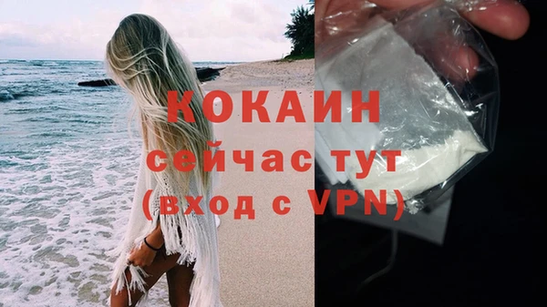 ALPHA PVP Куйбышев