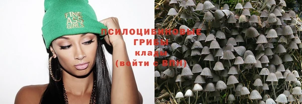 ALPHA PVP Куйбышев
