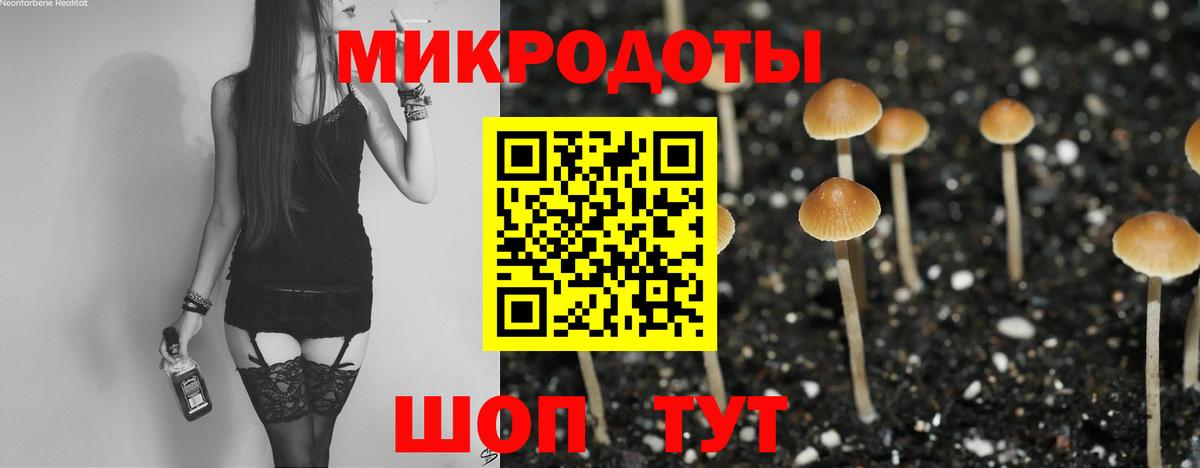 Галлюциногенные грибы мухоморы Ачинск